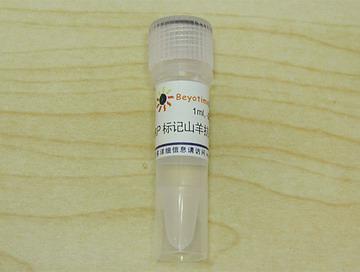 辣根过氧化物酶标记山羊抗兔IgG(H+L)